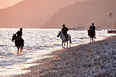 At Safari - Ölüdeniz 